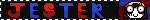 HTML5 Icon