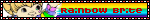 HTML5 Icon